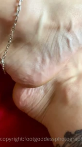 CatPrincess [ catprincessfeet ] Onlyfans leaked video 7745366 on Hotleaks.tv