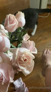 CatPrincess [ catprincessfeet ] Onlyfans leaked video 7745482 on Hotleaks.tv