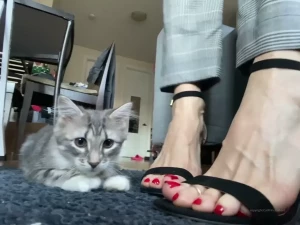 CatPrincess [ catprincessfeet ] Onlyfans leaked video 7745540 on Hotleaks.tv