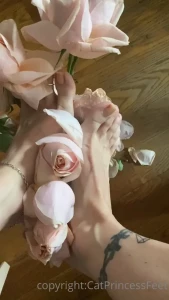 CatPrincess [ catprincessfeet ] Onlyfans leaked video 7745751 on Hotleaks.tv