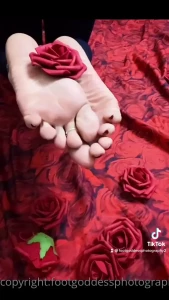 CatPrincess [ catprincessfeet ] Onlyfans leaked video 7746757 on Hotleaks.tv
