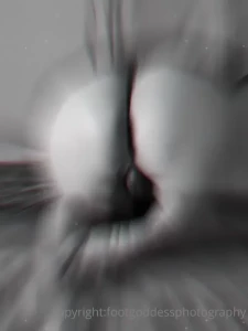 CatPrincess [ catprincessfeet ] Onlyfans leaked video 7746841 on Hotleaks.tv