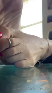 CatPrincess [ catprincessfeet ] Onlyfans leaked video 7746921 on Hotleaks.tv