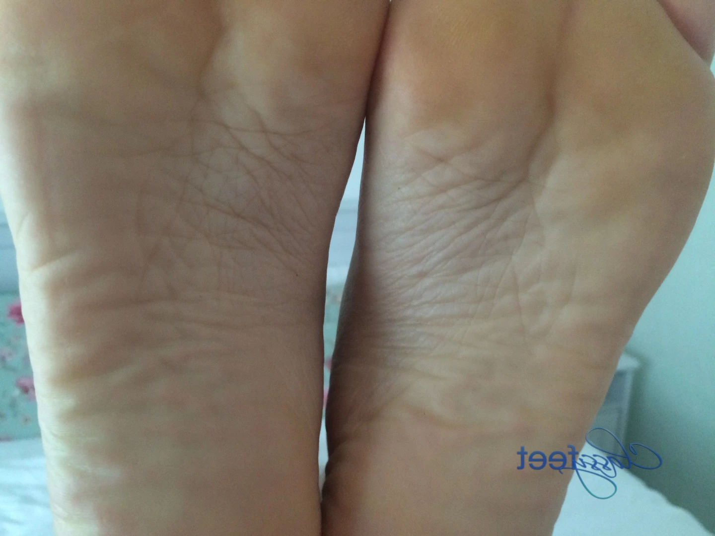 ClassyFeet - Sofia [ classyfeet ] Onlyfans leaked photo 7604084 on Hotleaks.tv
