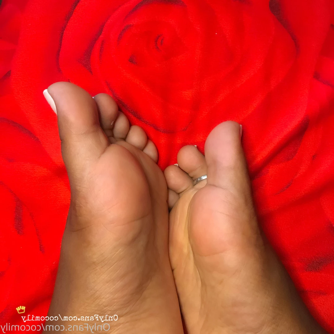 🤍 Mily 🤍 [ cocomily ] Onlyfans leaked photo 7595154 on Hotleaks.tv