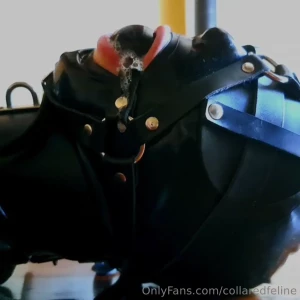 7741172