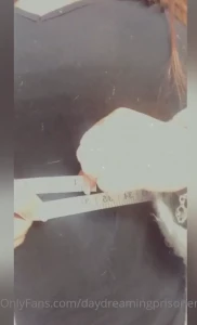 7733305