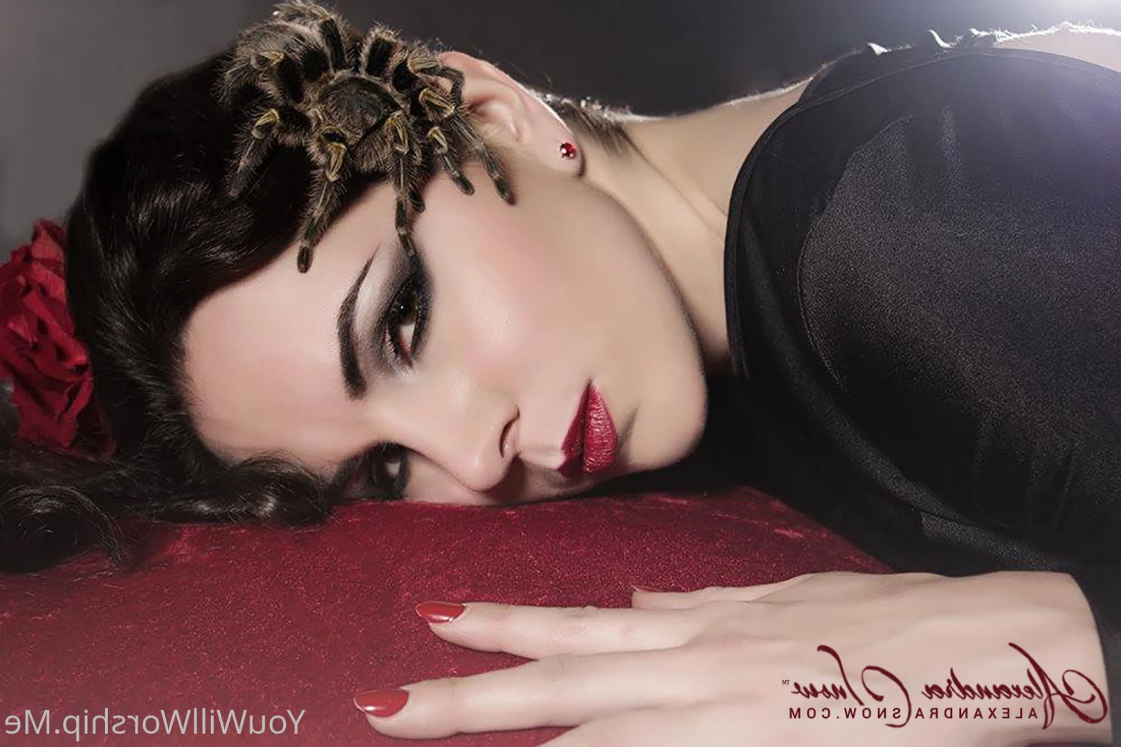 Goddess Alexandra Snow [ dominasnow ] Onlyfans leaked photo 6423271 on Hotleaks.tv