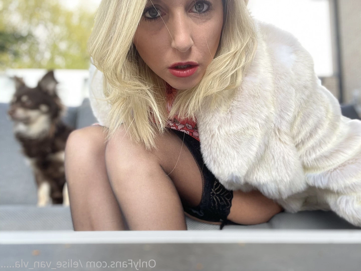 Elise Van Vlaanderen [ elise_van_vlaanderen ] Onlyfans leaked photo 7657260 on Hotleaks.tv
