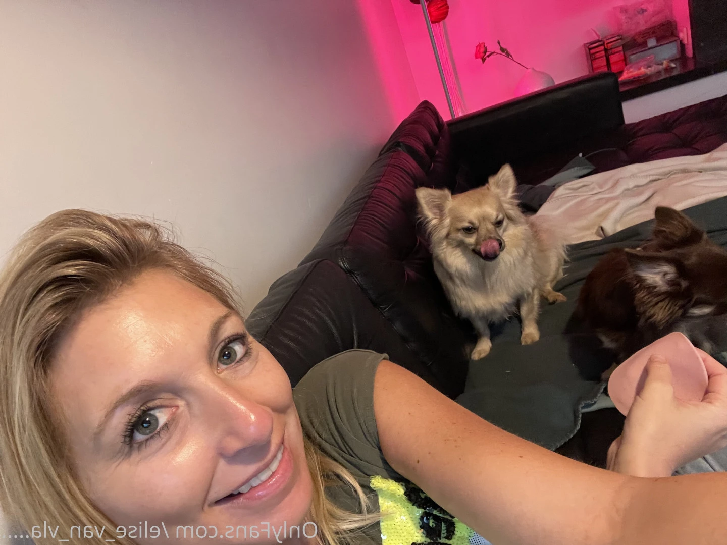 Elise Van Vlaanderen [ elise_van_vlaanderen ] Onlyfans leaked photo 7657868 on Hotleaks.tv