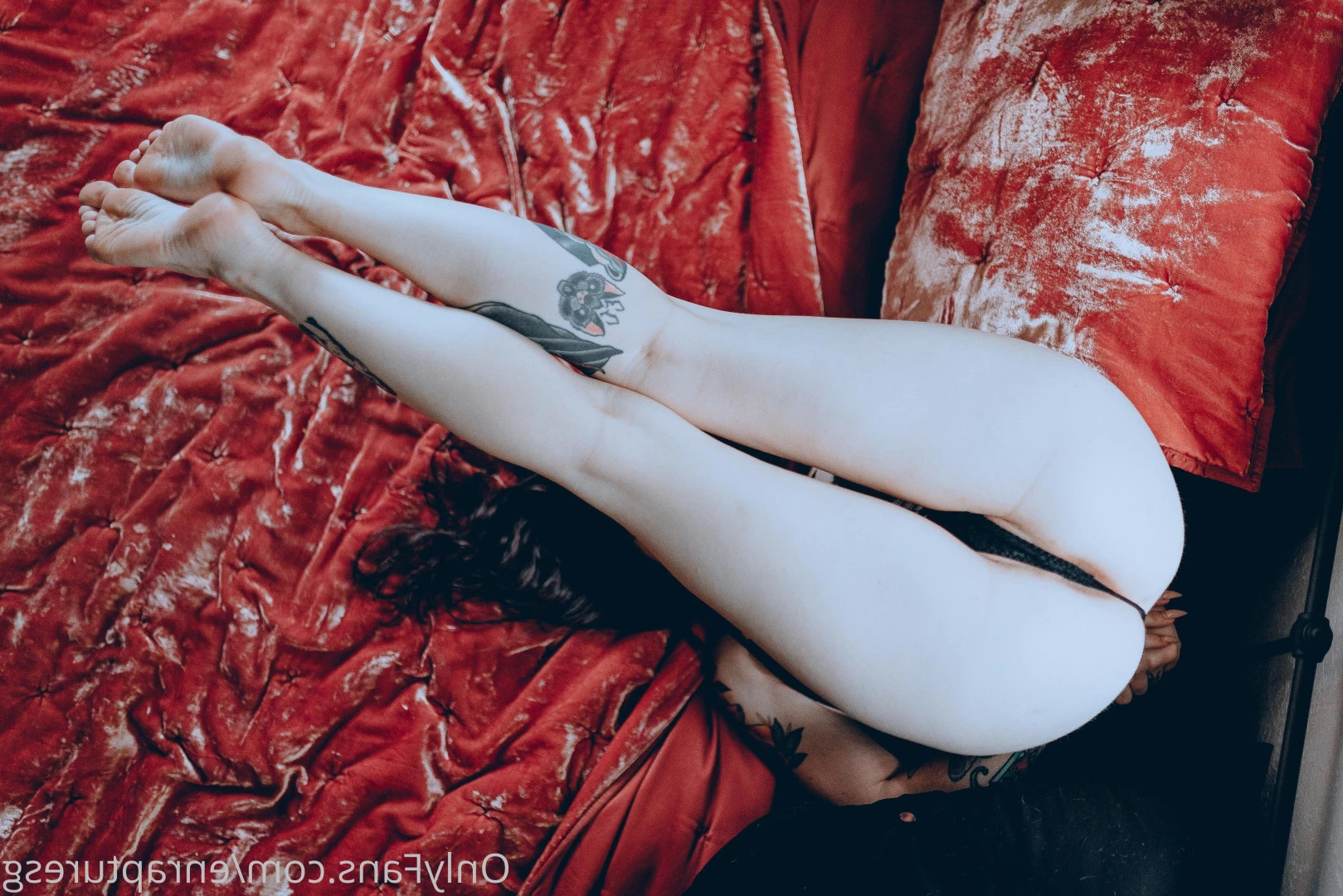 Elise Tails [ enrapturesg ] Onlyfans leaked photo 7541355 on Hotleaks.tv