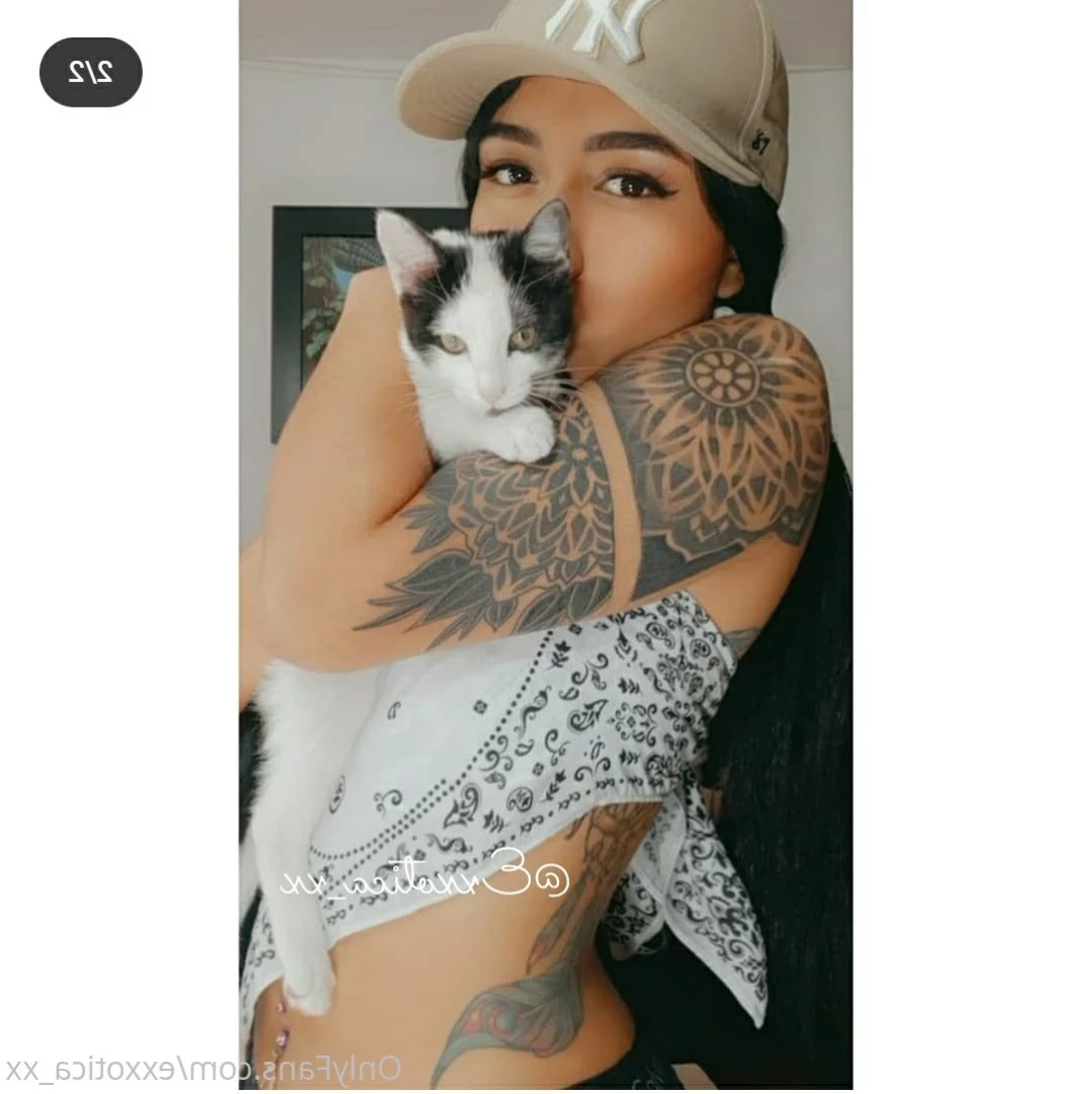 E᙭OTIᑕᗩ 𝗧𝗛𝗘 𝗕𝗘𝗦𝗧 𝗗𝗢𝗜𝗡𝗚 𝗔𝗡𝗔𝗟 🍑😈💦 [ exxotica_xx ] Onlyfans leaked photo 6654215 on Hotleaks.tv