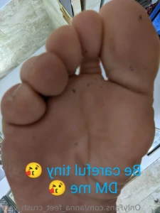 11051865