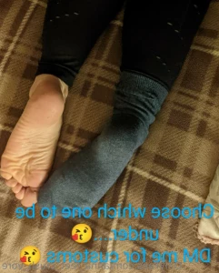 15461542