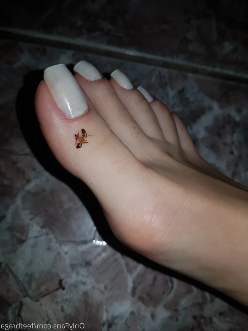 Feet Braga [ feetbraga ] Onlyfans leaked photo 7508465 on Hotleaks.tv