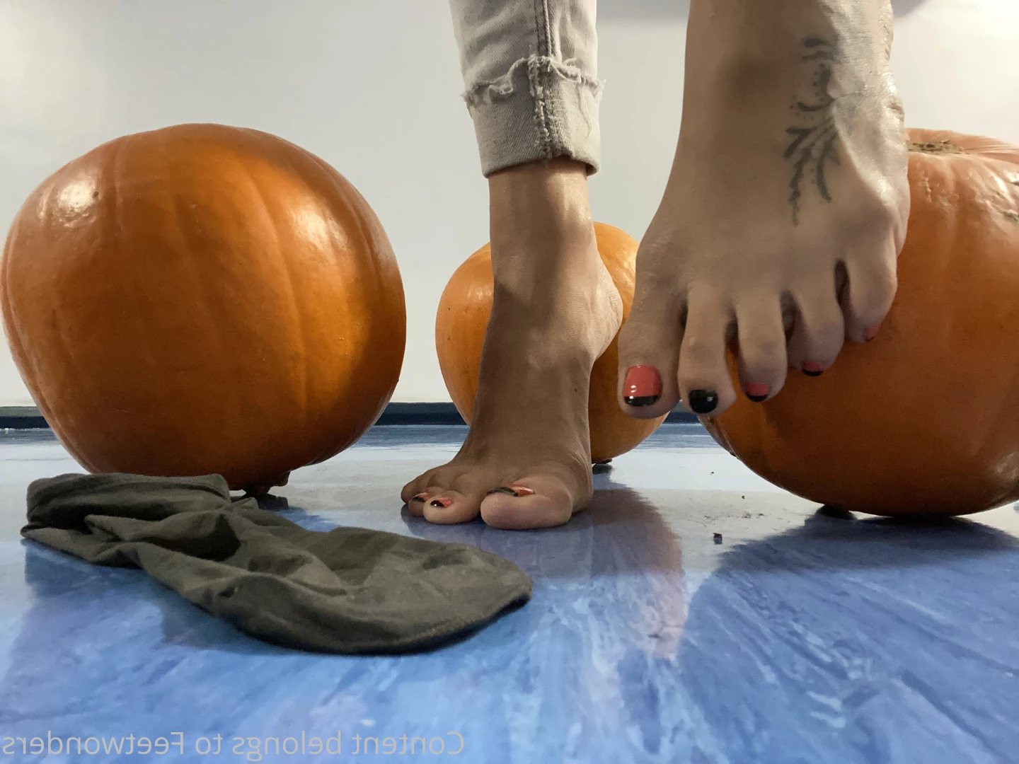 feetwonders Onlyfans leaked photo 10496457 on Hotleaks.tv