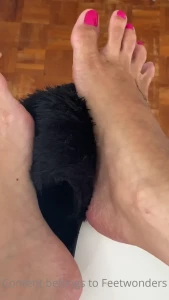 feetwonders Onlyfans leaked video 13483135 on Hotleaks.tv