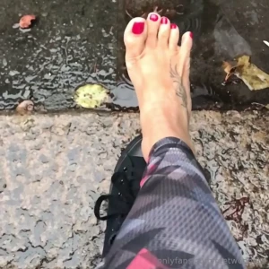16004145