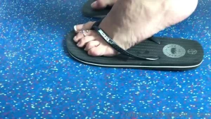 16004239