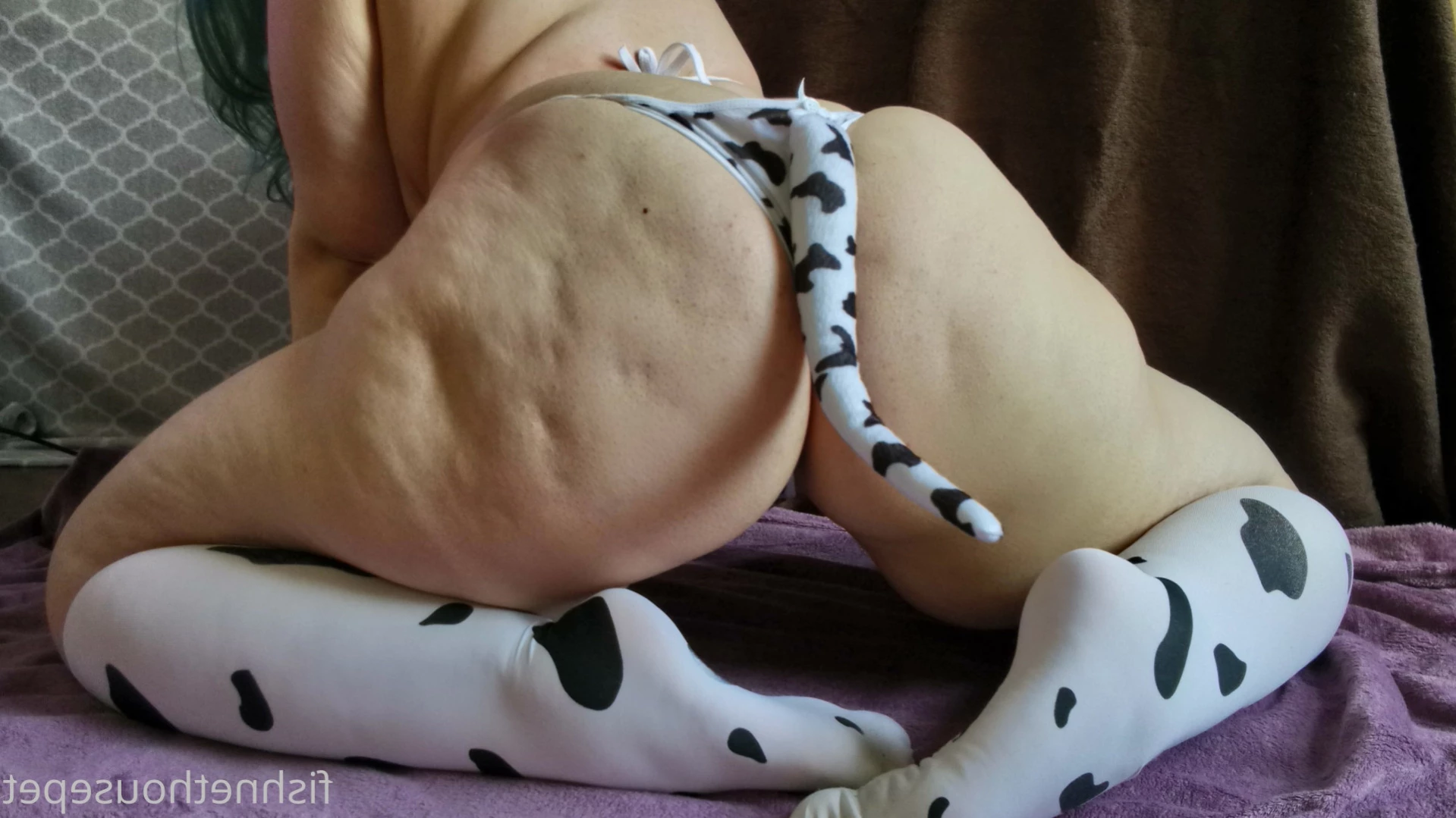 Fishnet Housepet [ fishnethousepet ] Onlyfans leaked photo 11943713 on Hotleaks.tv