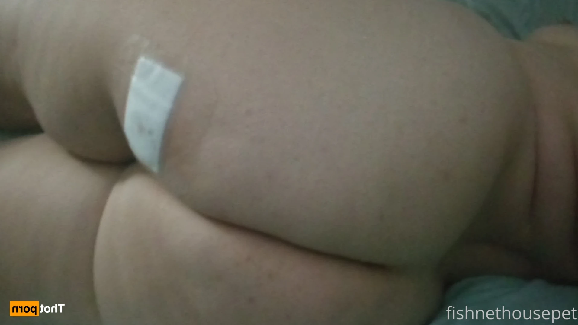 Fishnet Housepet [ fishnethousepet ] Onlyfans leaked photo 12030164 on Hotleaks.tv