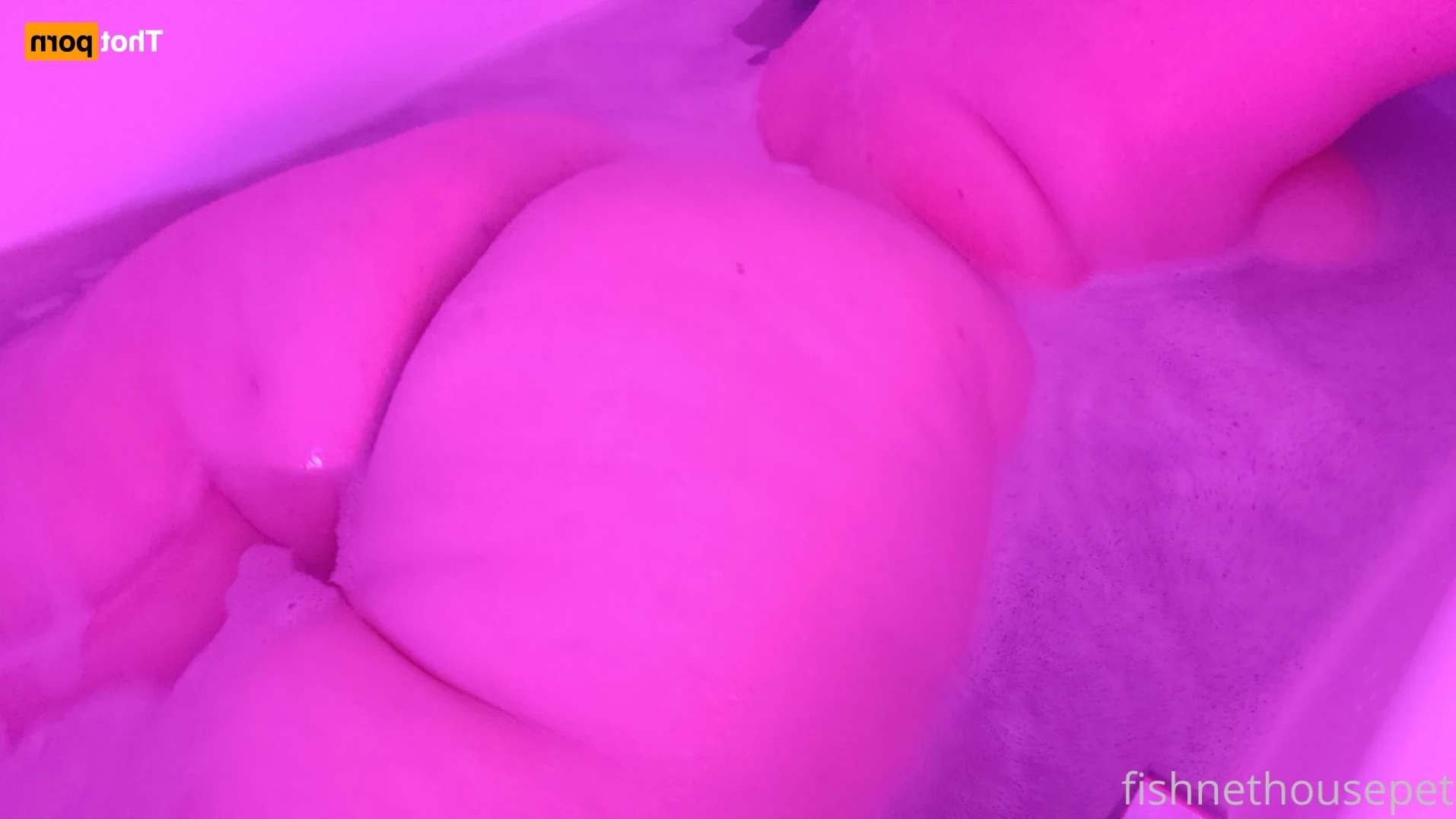 Fishnet Housepet [ fishnethousepet ] Onlyfans leaked photo 12087808 on Hotleaks.tv