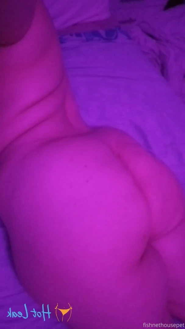 Fishnet Housepet [ fishnethousepet ] Onlyfans leaked photo 12106604 on Hotleaks.tv
