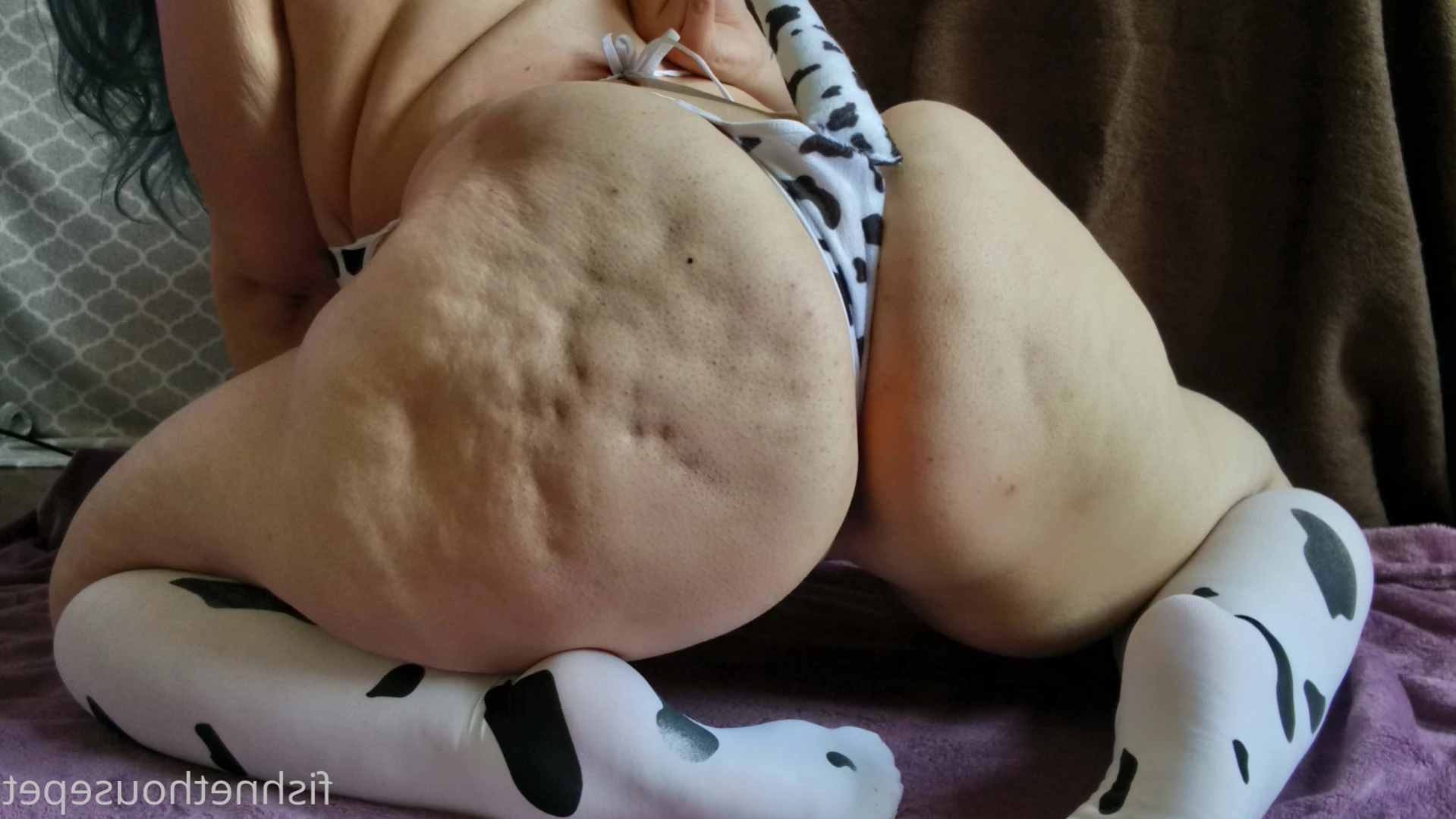 Fishnet Housepet [ fishnethousepet ] Onlyfans leaked photo 12148766 on Hotleaks.tv
