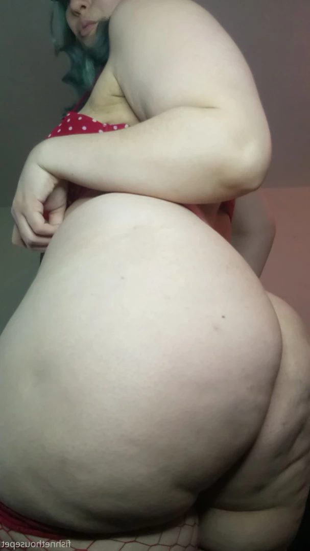Fishnet Housepet [ fishnethousepet ] Onlyfans leaked photo 12152418 on Hotleaks.tv