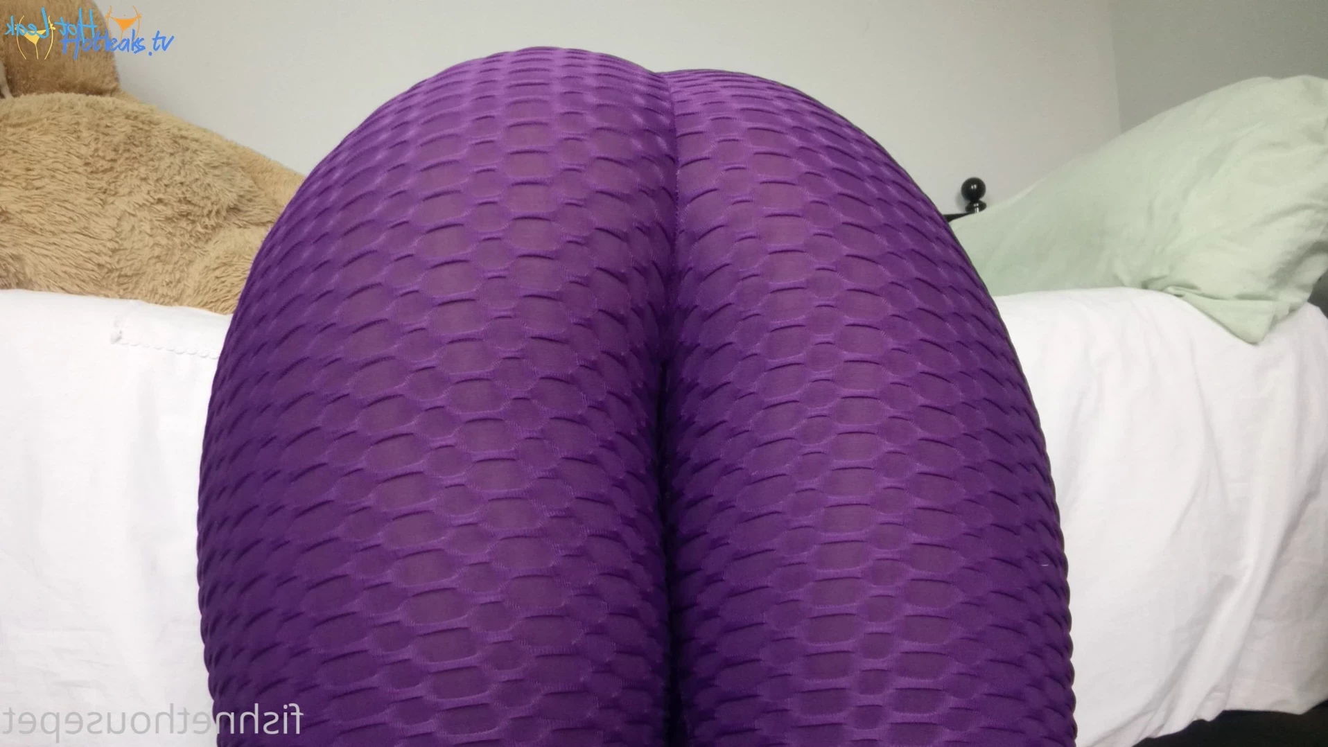 Fishnet Housepet [ fishnethousepet ] Onlyfans leaked photo 12346811 on Hotleaks.tv