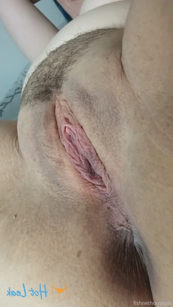 Fishnet Housepet [ fishnethousepet ] Onlyfans leaked photo 15639197 on Hotleaks.tv