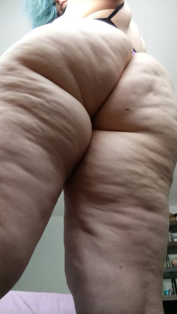 Fishnet Housepet [ fishnethousepet ] Onlyfans leaked photo 15660117 on Hotleaks.tv