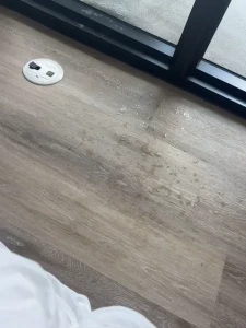 Bella - loves to sext 💦❤️ [ fitbadonk ] Onlyfans leaked video 14803227 on Hotleaks.tv