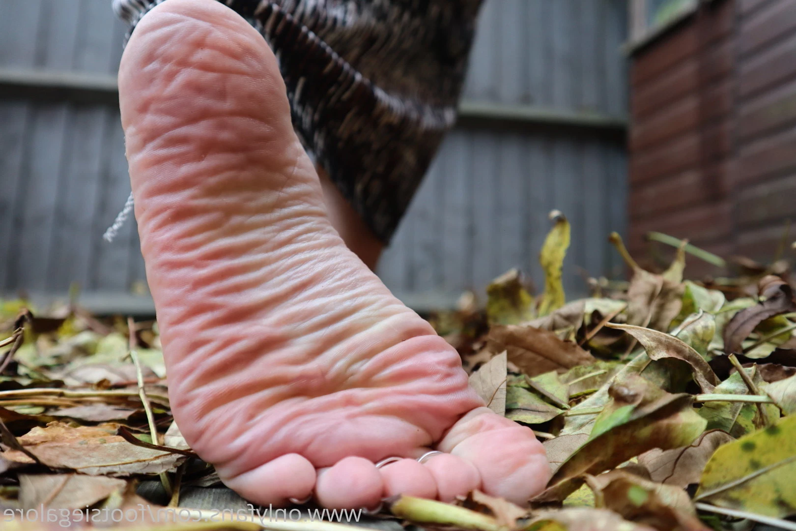 @footsiegalore [ footsiegalore ] Onlyfans leaked photo 7259706 on Hotleaks.tv