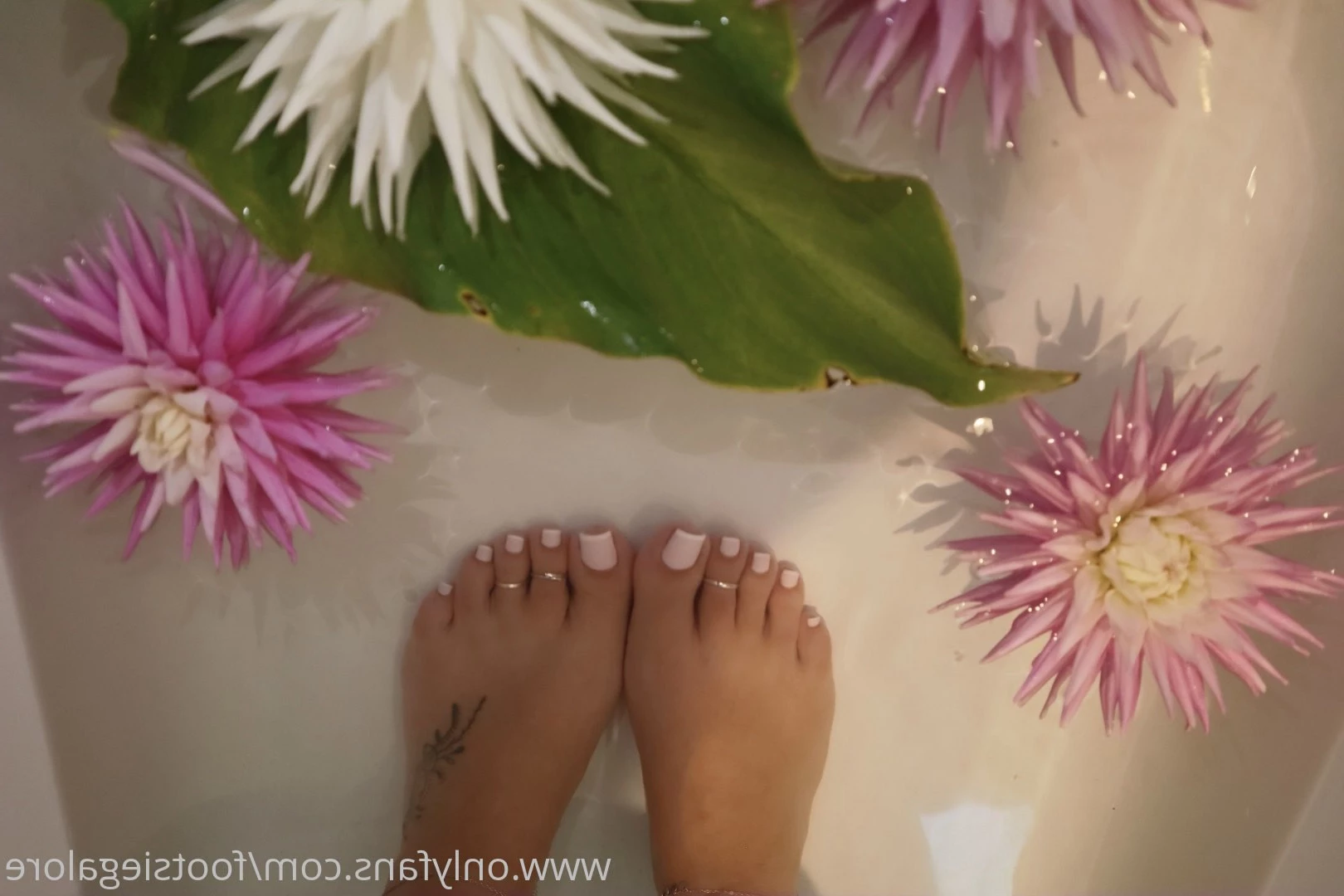 @footsiegalore [ footsiegalore ] Onlyfans leaked photo 7276844 on Hotleaks.tv