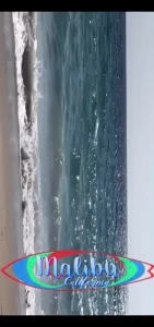Foxxy [ foxxy702 ] Onlyfans leaked video 13609133 on Hotleaks.tv