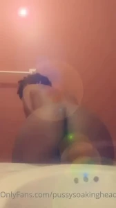 16036564