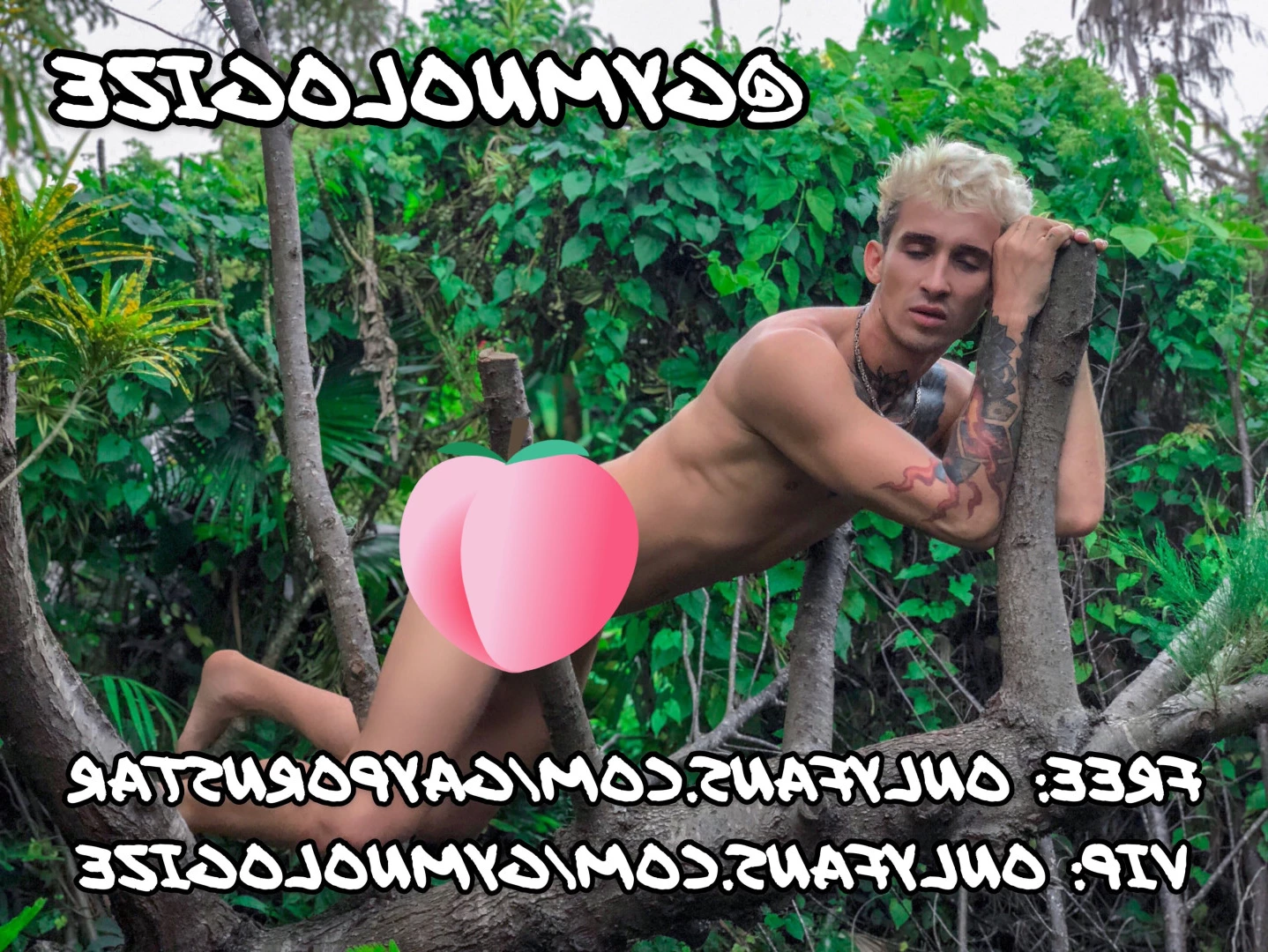 FREE GAY ONLYFANS • DENNIS NICKOLERO [ freegayonlyfans ] Onlyfans leaked photo 7521793 on Hotleaks.tv