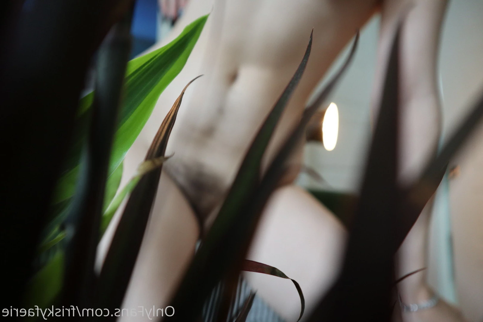 fae • all natural ❤︎ [ friskyfaerie ] Onlyfans leaked photo 6643442 on Hotleaks.tv