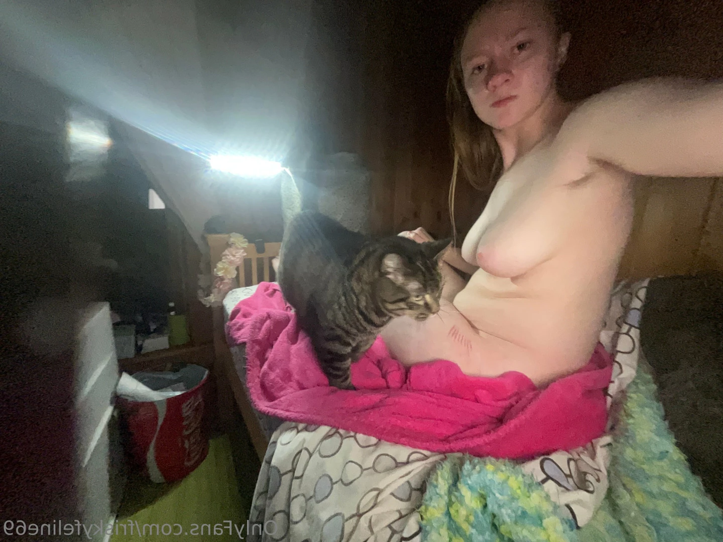 THE frisky feline [ friskyfeline69 ] Onlyfans leaked photo 7063243 on Hotleaks.tv