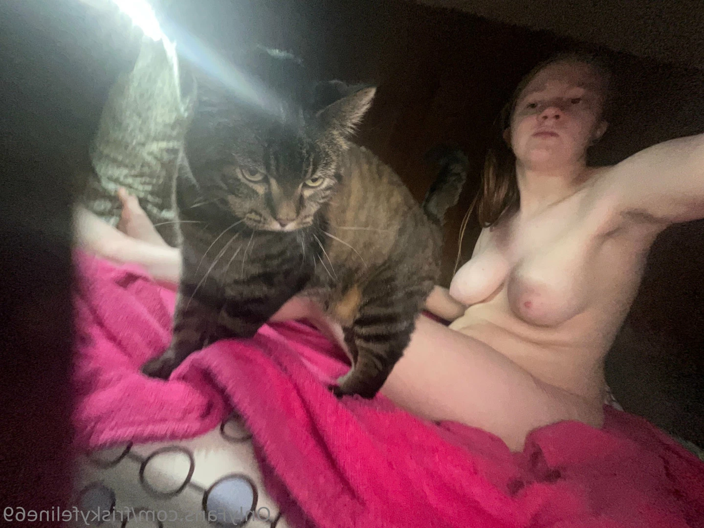 THE frisky feline [ friskyfeline69 ] Onlyfans leaked photo 7064956 on Hotleaks.tv