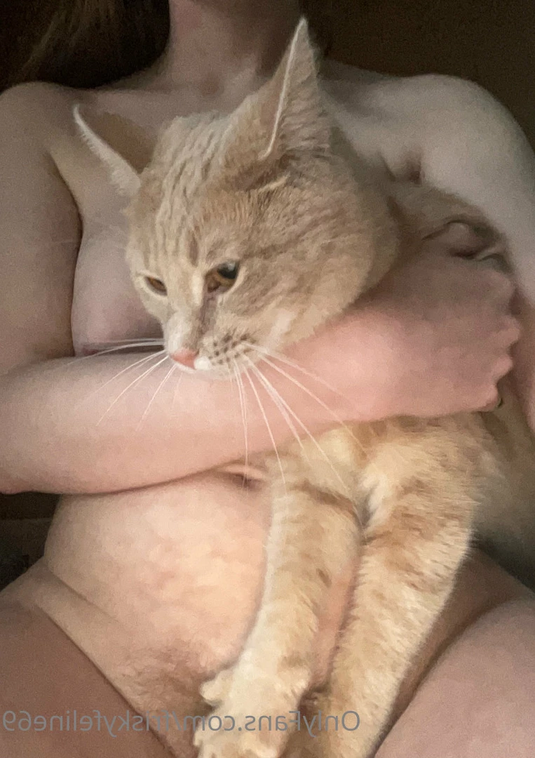 THE frisky feline [ friskyfeline69 ] Onlyfans leaked photo 7066207 on Hotleaks.tv
