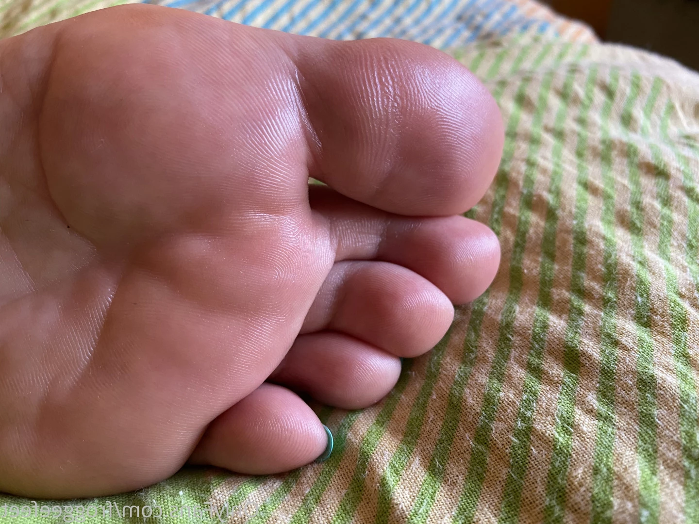 Froggee Feet VIP [ froggeefeetvip ] Onlyfans leaked photo 7493007 on Hotleaks.tv