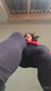 7593796