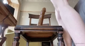 18253729