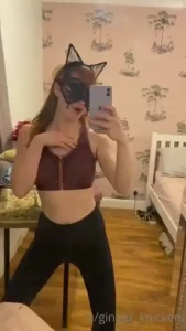 18253732