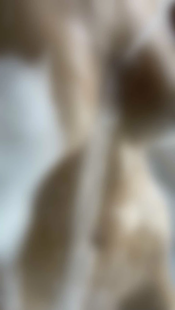 Gingery shoot [ gingery.shoot ] Onlyfans leaked photo 10477596 on Hotleaks.tv