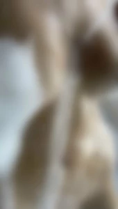 10477596
