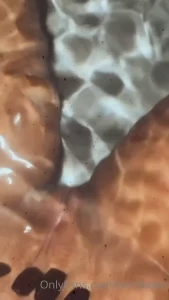 7588067