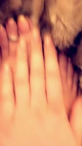 7587398